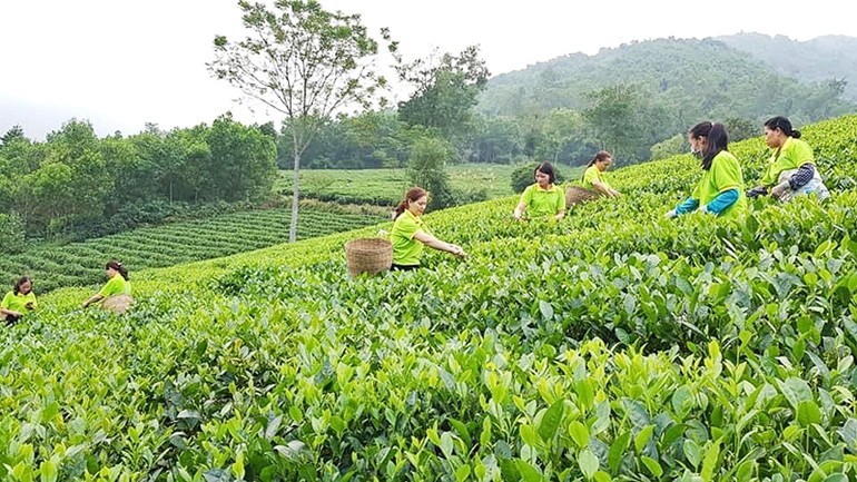 Xây dựng nông thôn mới - động lực phát triển bền vững ở Thái Nguyên Xây dựng nông thôn mới - động lực phát triển bền vững ở Thái Nguyên