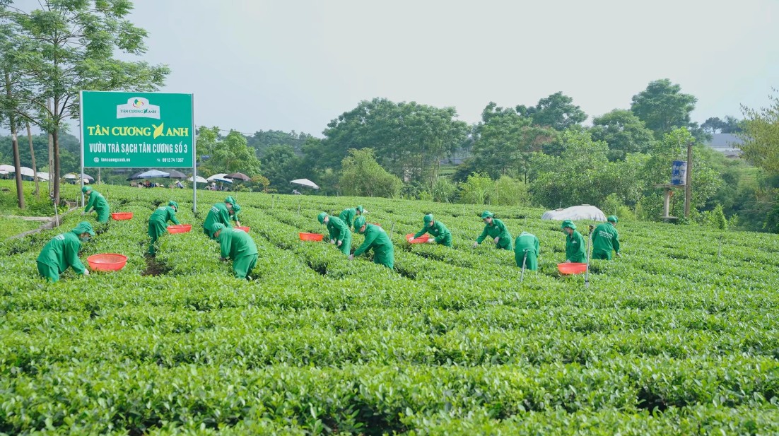 Gìn giữ nghề truyền thống tạo động lực phát triển kinh tế nông thôn