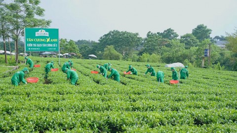 Gìn giữ nghề truyền thống tạo động lực phát triển kinh tế nông thôn