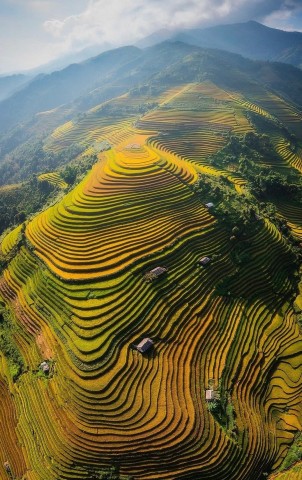 sac vang ruc ro tren mua le hoi vung cao tuyen quang