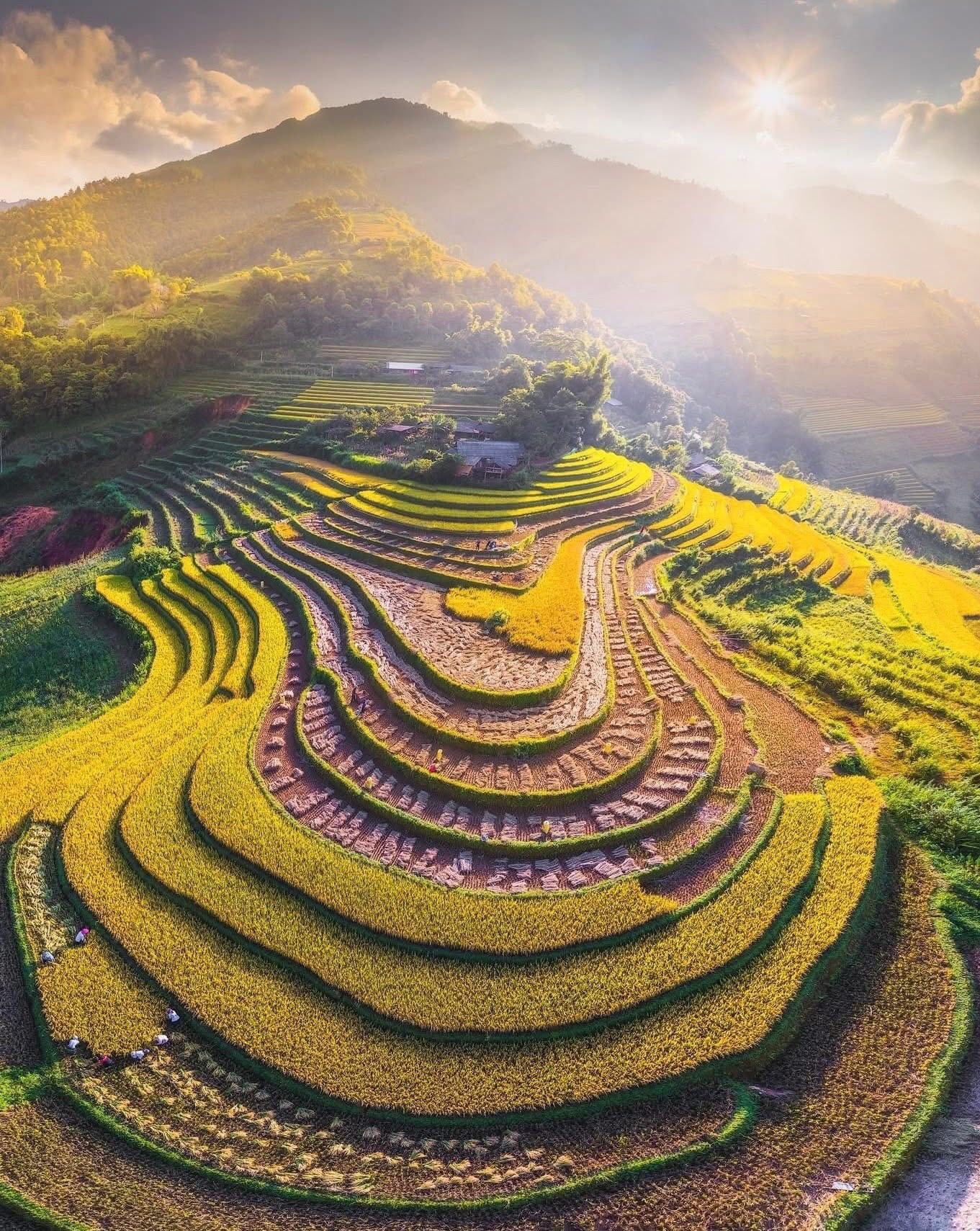 Sắc vàng rực rỡ trên mùa lễ hội vùng cao Tuyên Quang Sắc vàng rực rỡ trên mùa lễ hội vùng cao Tuyên Quang