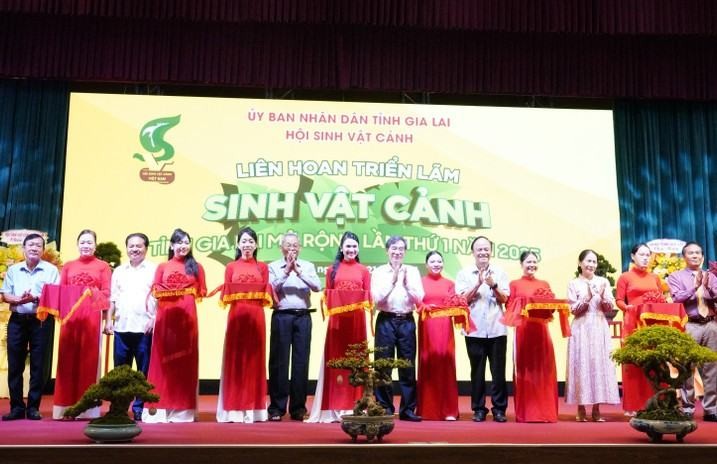 Hơn 5.000 tác phẩm sinh vật cảnh tham gia Liên hoan triển lãm sinh vật cảnh tỉnh Gia Lai mở rộng - lần thứ I năm 2025 Hơn 5.000 tác phẩm sinh vật cảnh tham gia Liên hoan triển lãm sinh vật cảnh tỉnh Gia Lai mở rộng - lần thứ I năm 2025