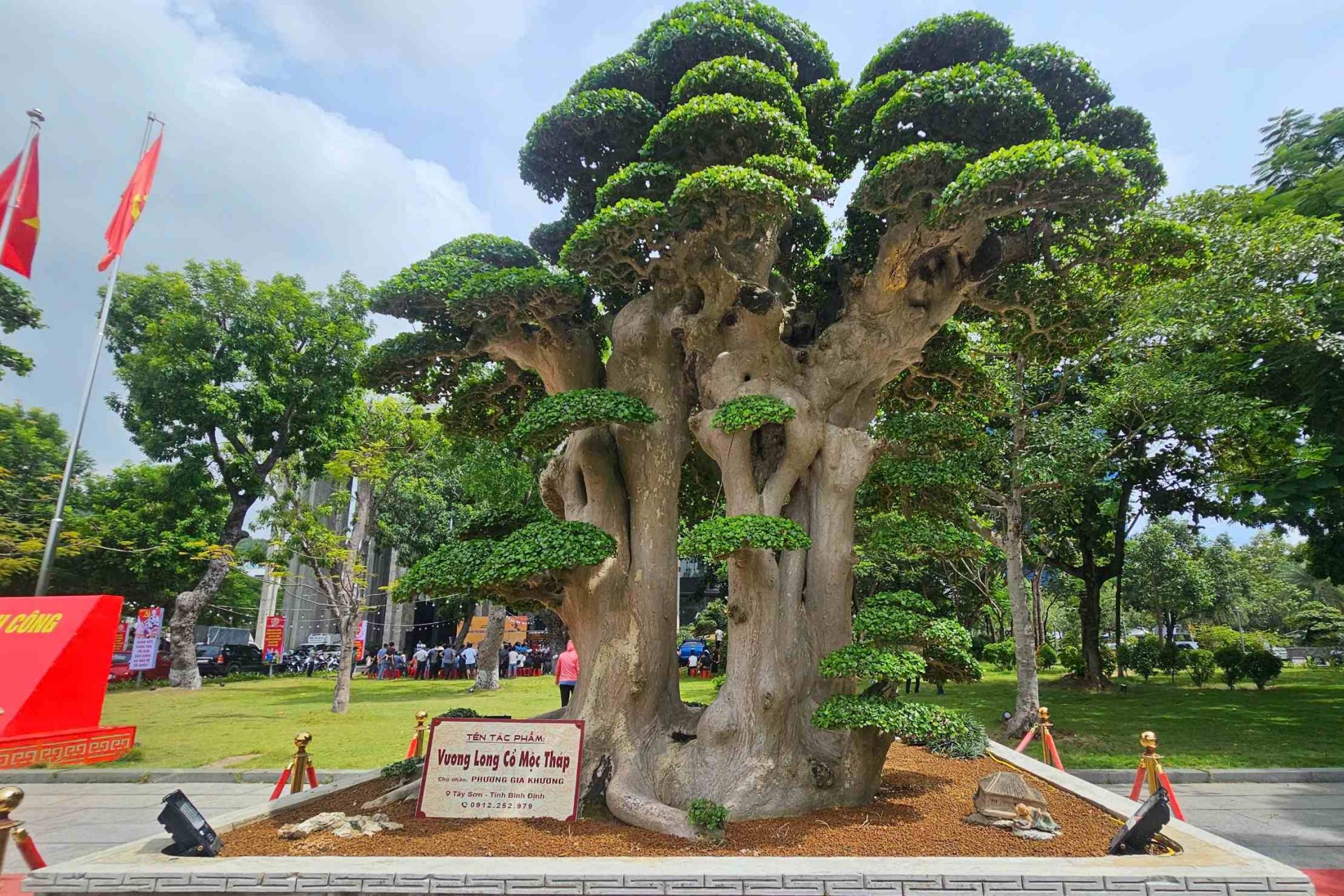 Hơn 5.000 tác phẩm sinh vật cảnh tham gia Liên hoan triển lãm sinh vật cảnh tỉnh Gia Lai mở rộng - lần thứ I năm 2025 Hơn 5.000 tác phẩm sinh vật cảnh tham gia Liên hoan triển lãm sinh vật cảnh tỉnh Gia Lai mở rộng - lần thứ I năm 2025