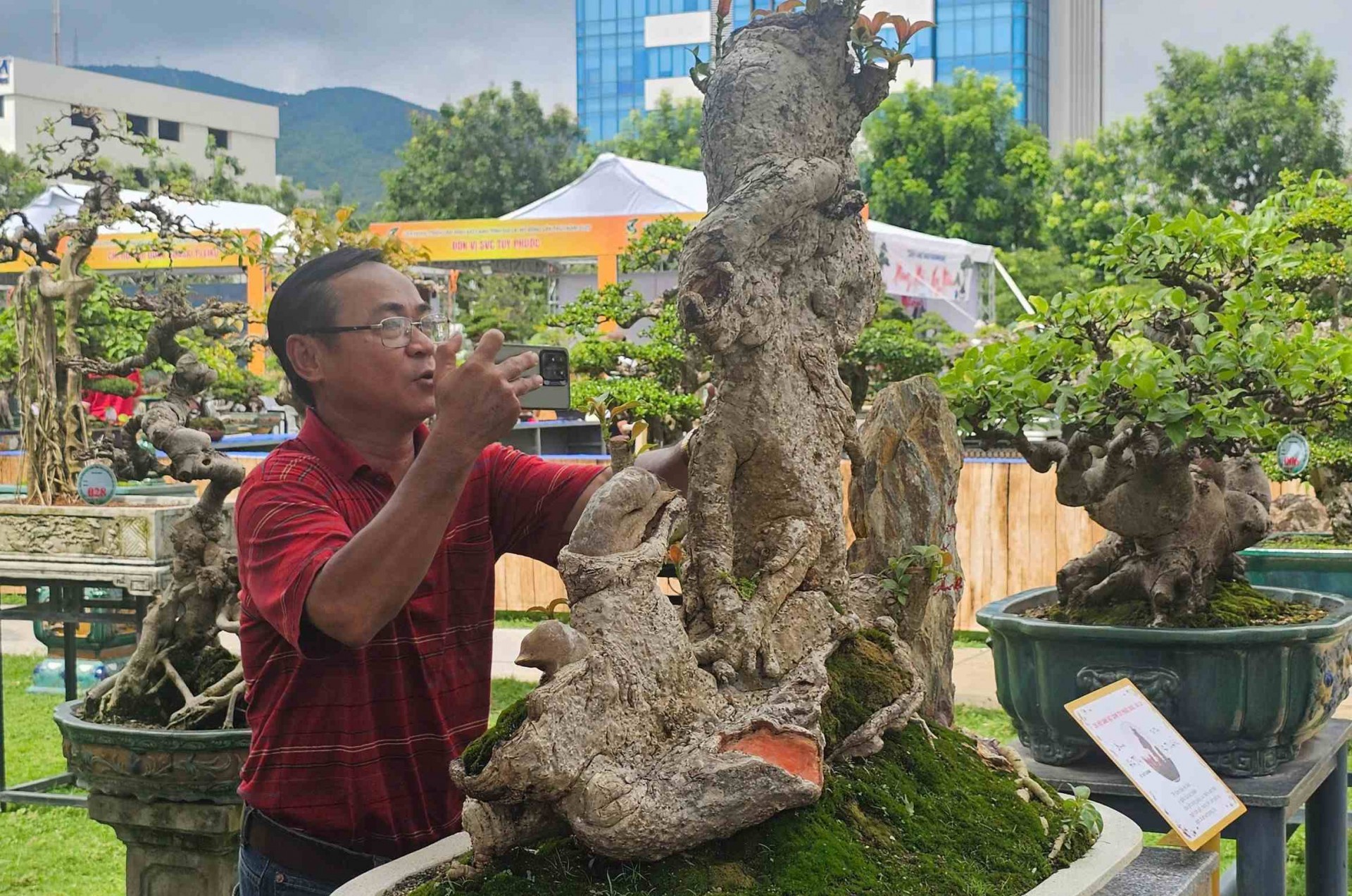 Hơn 5.000 tác phẩm sinh vật cảnh tham gia Liên hoan triển lãm sinh vật cảnh tỉnh Gia Lai mở rộng - lần thứ I năm 2025 Hơn 5.000 tác phẩm sinh vật cảnh tham gia Liên hoan triển lãm sinh vật cảnh tỉnh Gia Lai mở rộng - lần thứ I năm 2025