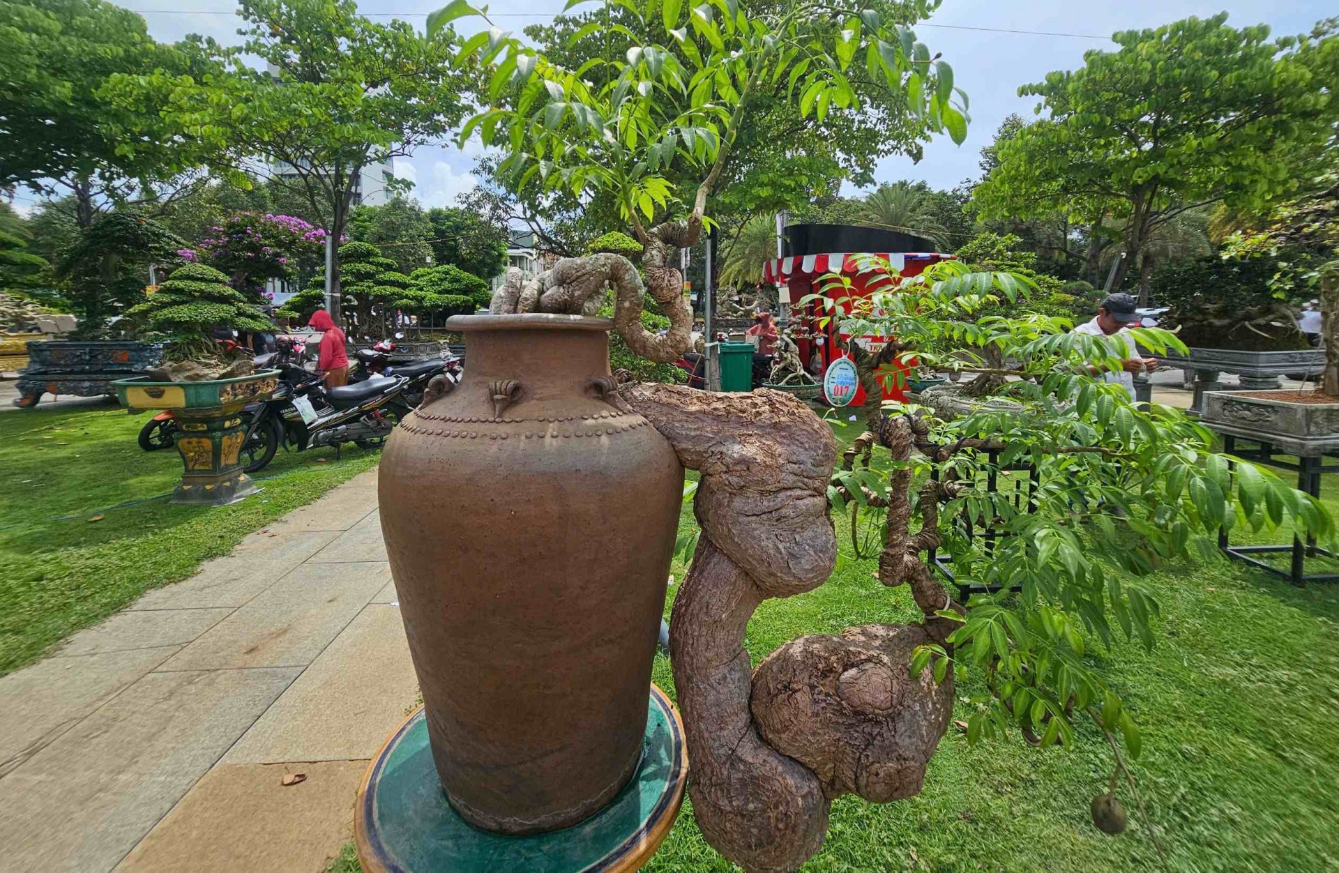 Hơn 5.000 tác phẩm sinh vật cảnh tham gia Liên hoan triển lãm sinh vật cảnh tỉnh Gia Lai mở rộng - lần thứ I năm 2025 Hơn 5.000 tác phẩm sinh vật cảnh tham gia Liên hoan triển lãm sinh vật cảnh tỉnh Gia Lai mở rộng - lần thứ I năm 2025