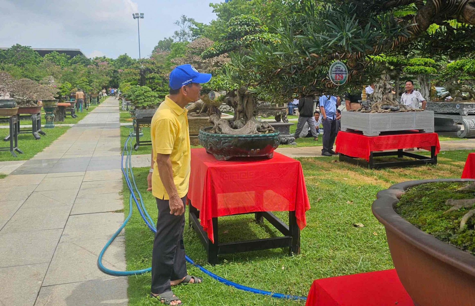 Hơn 5.000 tác phẩm sinh vật cảnh tham gia Liên hoan triển lãm sinh vật cảnh tỉnh Gia Lai mở rộng - lần thứ I năm 2025 Hơn 5.000 tác phẩm sinh vật cảnh tham gia Liên hoan triển lãm sinh vật cảnh tỉnh Gia Lai mở rộng - lần thứ I năm 2025