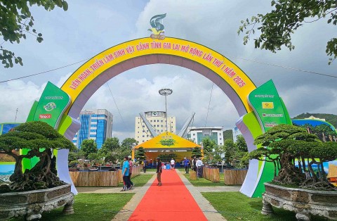 Hơn 5.000 tác phẩm sinh vật cảnh tham gia Liên hoan triển lãm sinh vật cảnh tỉnh Gia Lai mở rộng - lần thứ I năm 2025