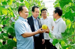 Phong trào thi đua yêu nước tạo động lực cho Gia Lai phát triển toàn diện bền vững