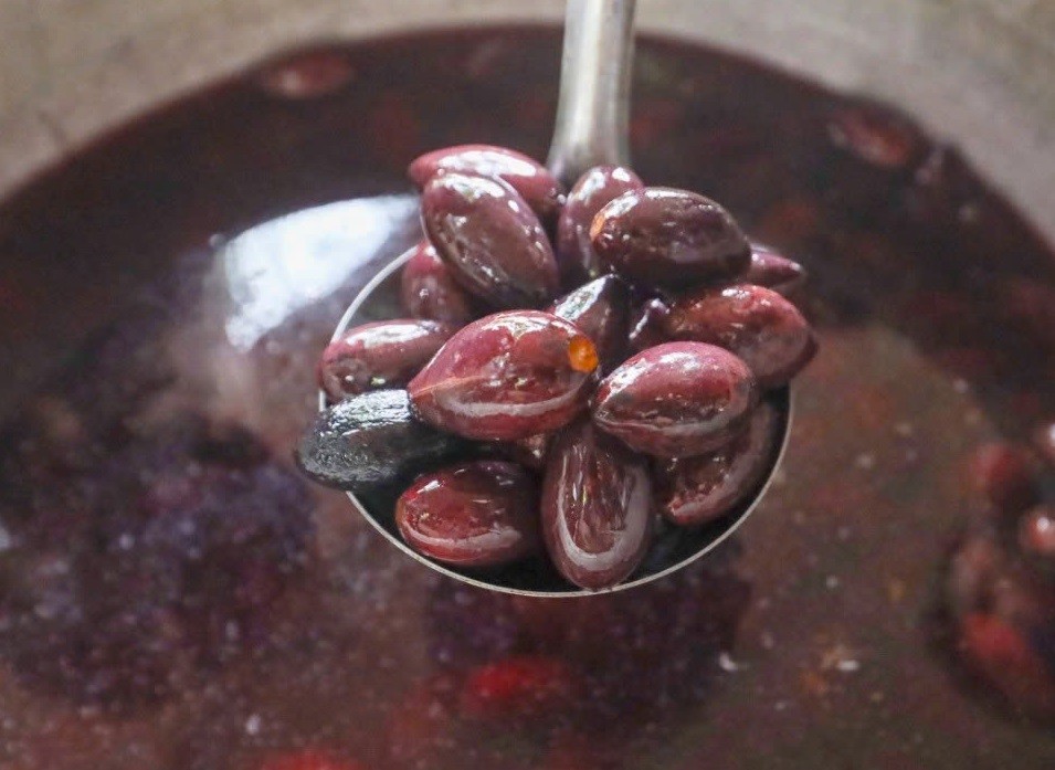 Mùa thu hoạch trám đen Mùa thu hoạch trám đen