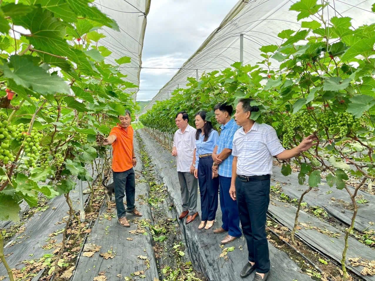 Dấu ấn, thách thức và hướng đi mới trong xây dựng nông thôn mới ở Thanh Hóa Dấu ấn, thách thức và hướng đi mới trong xây dựng nông thôn mới ở Thanh Hóa