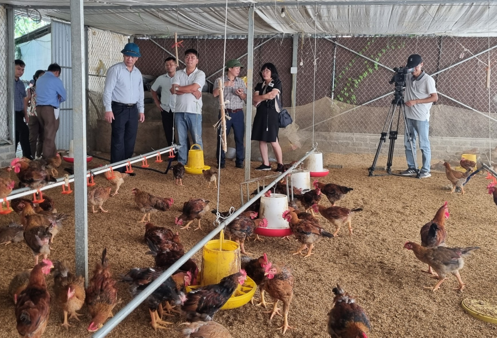 Nghệ An đẩy mạnh xây dựng mô hình khuyến nông thích ứng giai đoạn mới Nghệ An đẩy mạnh xây dựng mô hình khuyến nông thích ứng giai đoạn mới