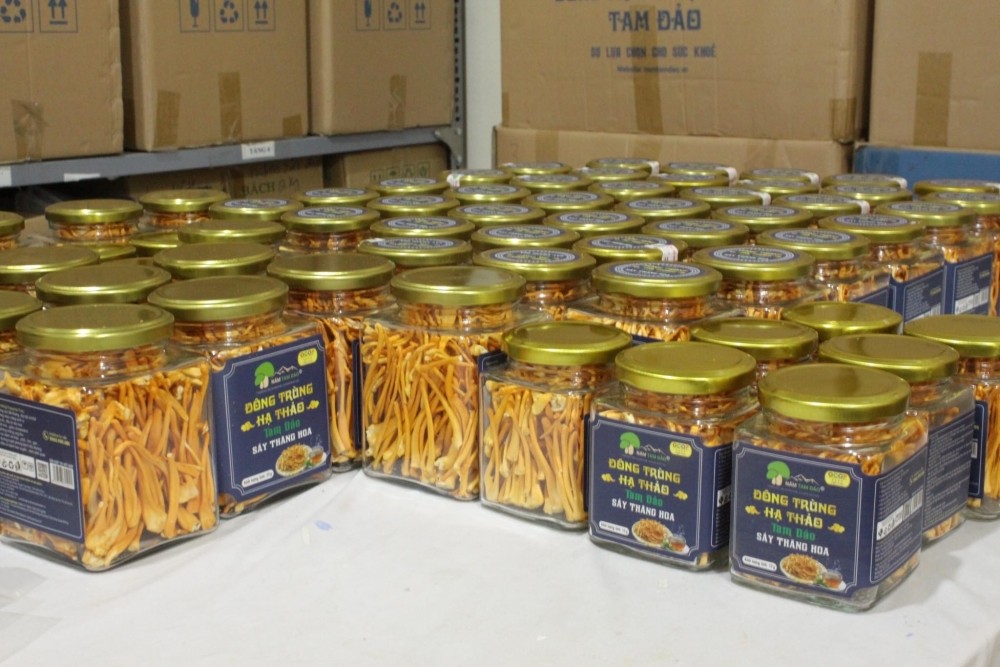 Xây dựng sản phẩm OCOP dựa trên thế mạnh sẵn có tại địa phương