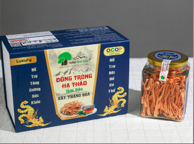 OCOP Phú Thọ – Nâng tầm sản phẩm địa phương, vươn xa thương hiệu Việt