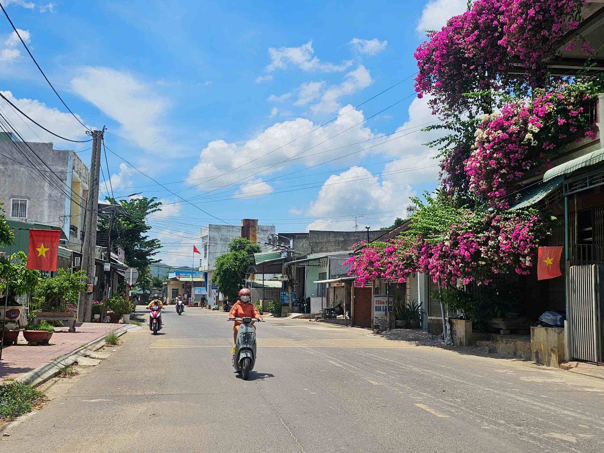 Gia Lai: Tuy Phước Bắc hướng tới nông thôn mới hiện đại giàu bản sắc trong kỷ nguyên số Gia Lai: Tuy Phước Bắc hướng tới nông thôn mới hiện đại giàu bản sắc trong kỷ nguyên số