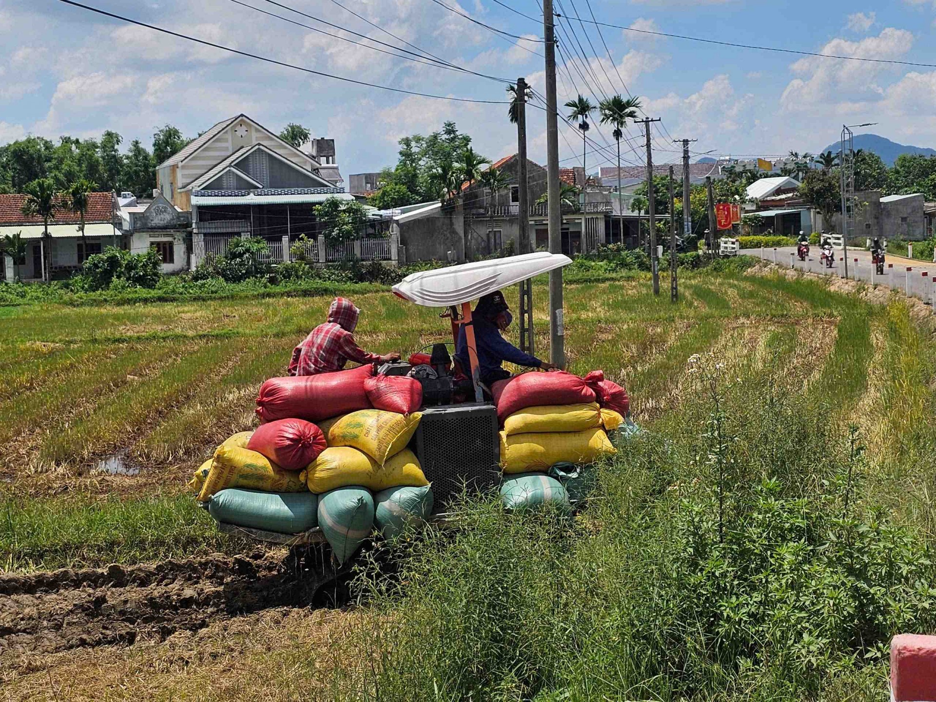 Gia Lai: Tuy Phước Bắc hướng tới nông thôn mới hiện đại giàu bản sắc trong kỷ nguyên số Gia Lai: Tuy Phước Bắc hướng tới nông thôn mới hiện đại giàu bản sắc trong kỷ nguyên số