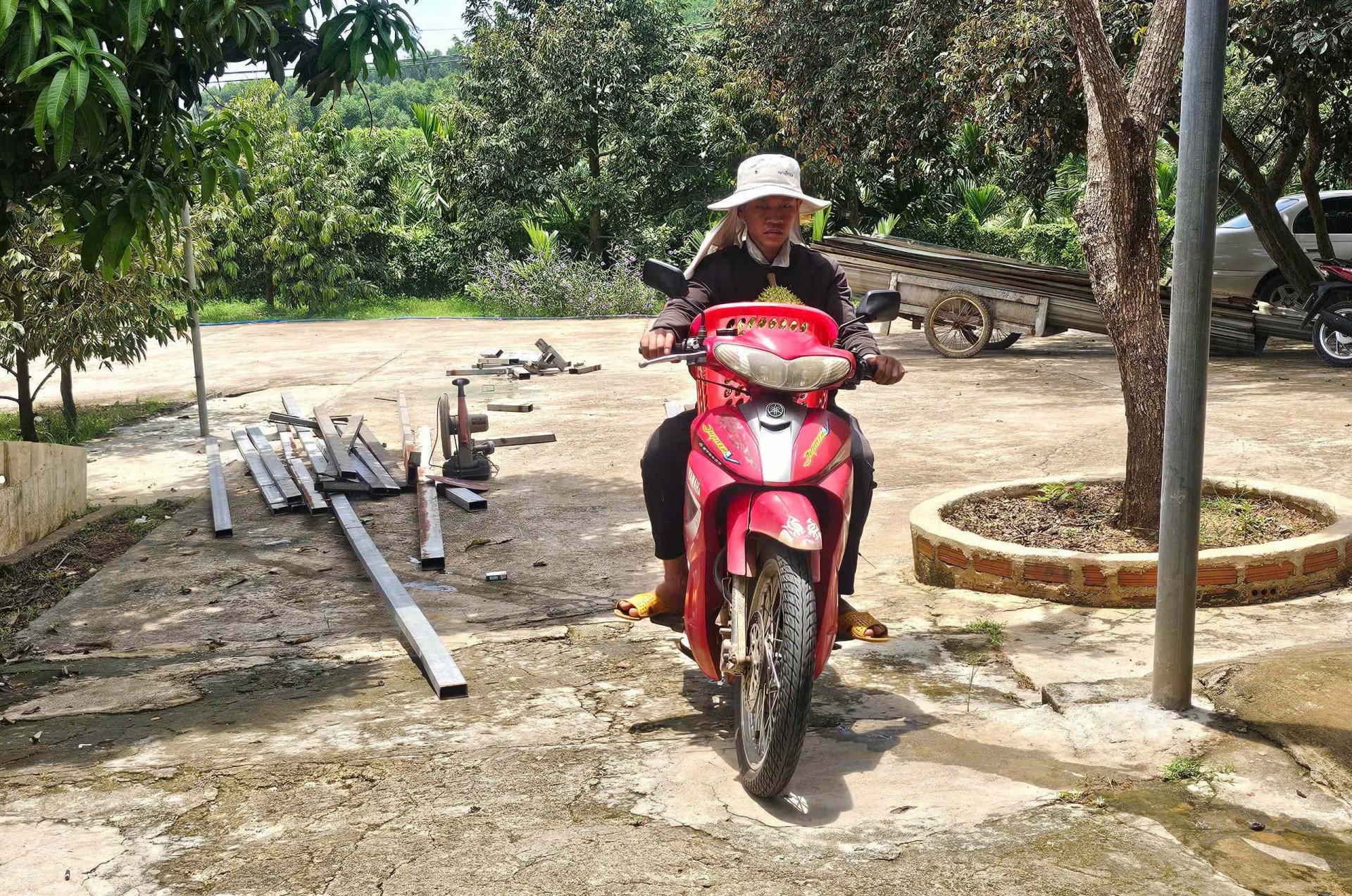 Lạc bước vào vườn sầu riêng độc lạ trên vùng đất Gia Lai Đông Lạc bước vào vườn sầu riêng độc lạ trên vùng đất Gia Lai Đông