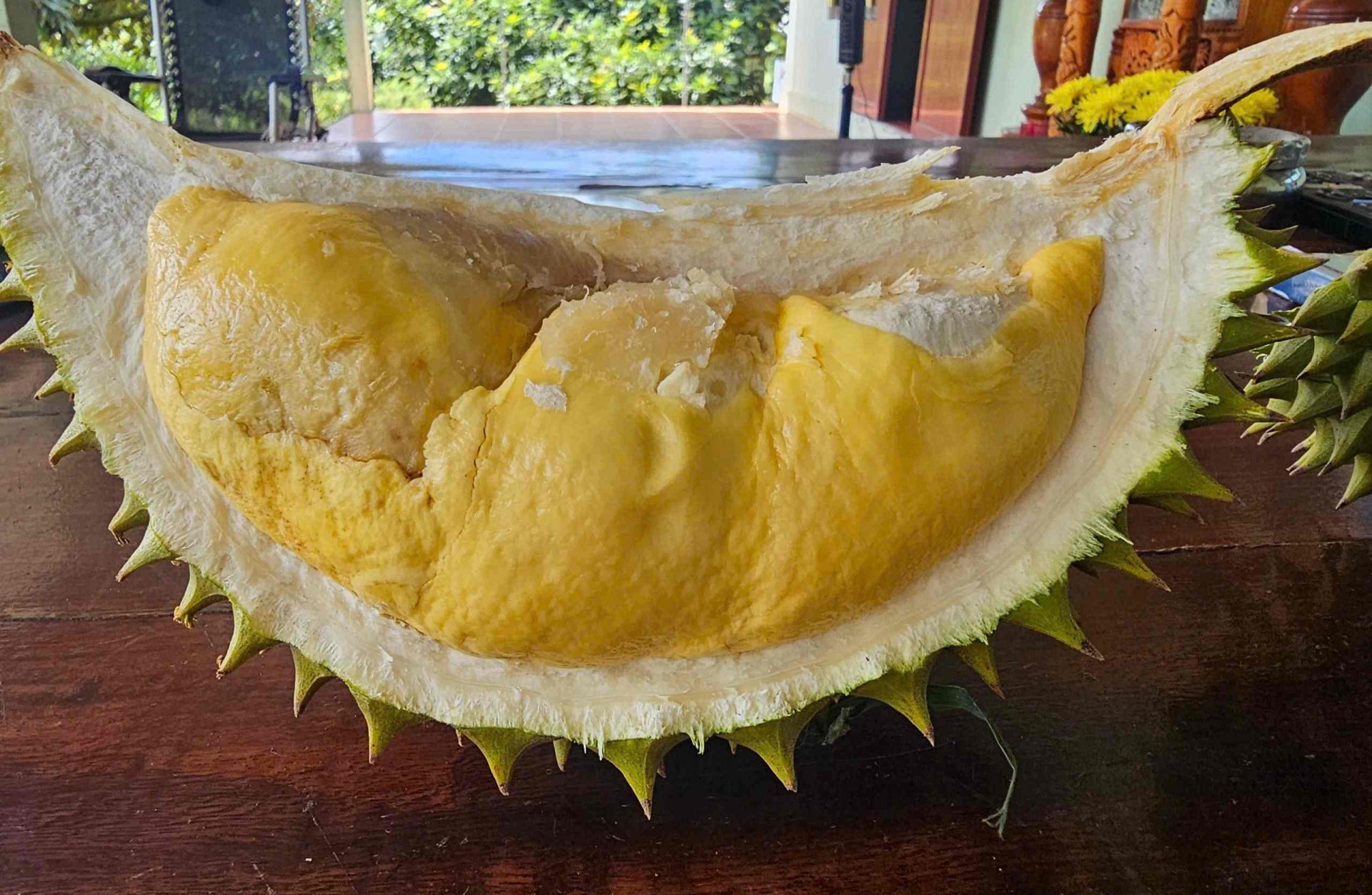 Lạc bước vào vườn sầu riêng độc lạ trên vùng đất Gia Lai Đông Lạc bước vào vườn sầu riêng độc lạ trên vùng đất Gia Lai Đông