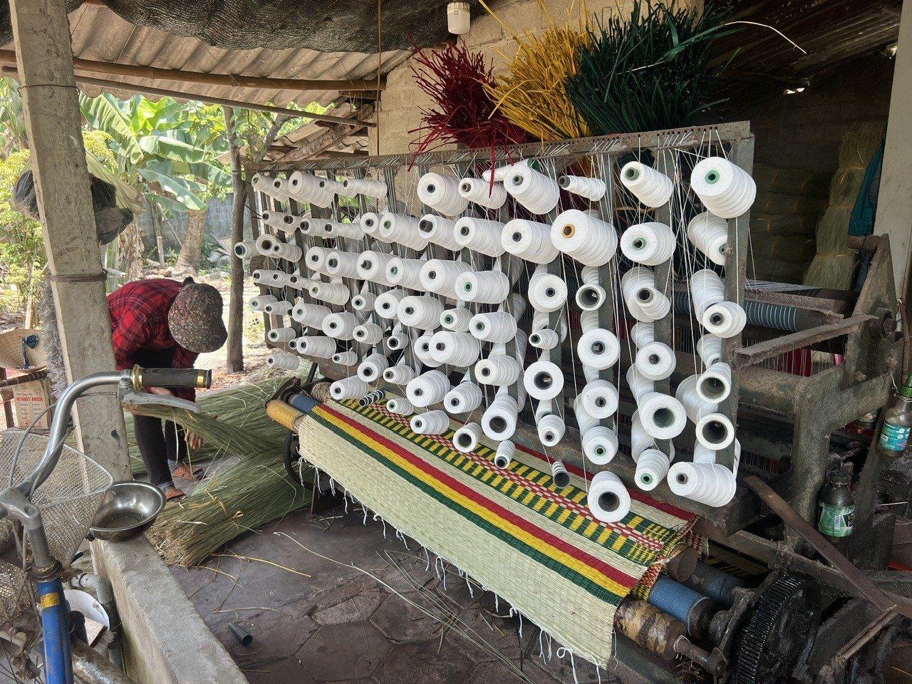 Hơn 300 năm giữ lửa truyền thống ở làng nghề chiếu cói Hoài Nhơn Hơn 300 năm giữ lửa truyền thống ở làng nghề chiếu cói Hoài Nhơn