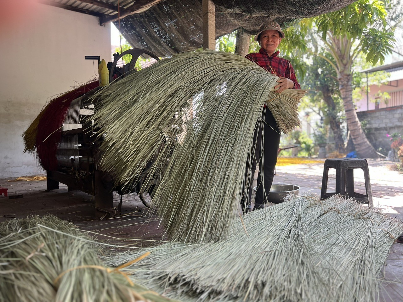 Hơn 300 năm giữ lửa truyền thống ở làng nghề chiếu cói Hoài Nhơn Hơn 300 năm giữ lửa truyền thống ở làng nghề chiếu cói Hoài Nhơn