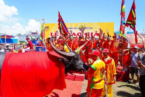 le hoi choi trau truyen thong do son 2025 duoc truyen hinh truc tiep tren vtvgo