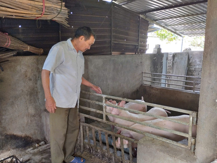 Người lính năm xưa trở thành nông dân điển hình hôm nay