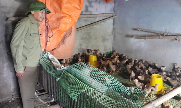 Người lính năm xưa trở thành nông dân điển hình hôm nay Người lính năm xưa trở thành nông dân điển hình hôm nay