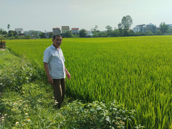 Người lính năm xưa trở thành nông dân điển hình hôm nay Người lính năm xưa trở thành nông dân điển hình hôm nay