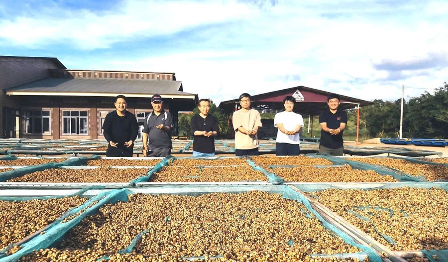 Cà phê khẳng định vị trí nổi bật trong sản phẩm OCOP Gia Lai