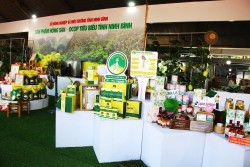 Định hướng phát triển làng nghề và các sản phẩm OCOP tại Ninh Bình