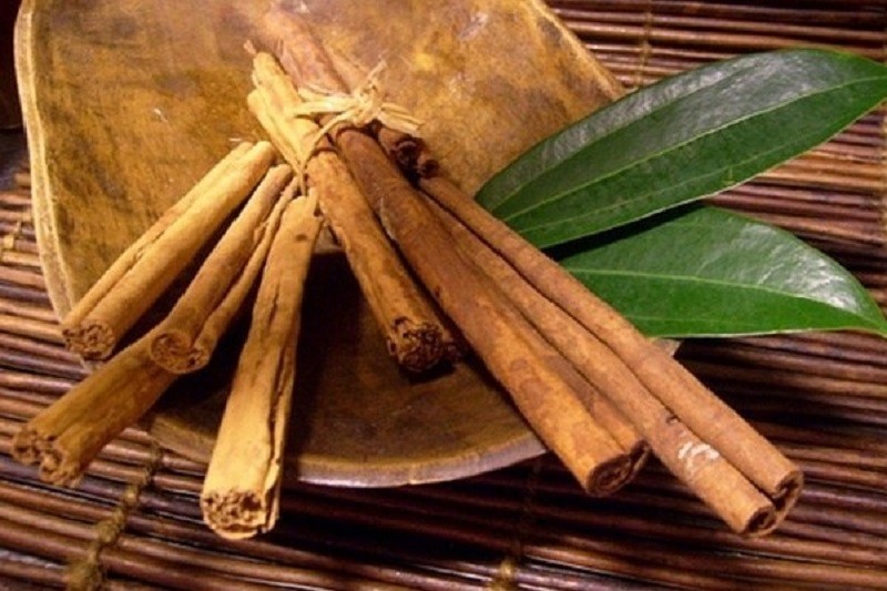 Quế hữu cơ mang lại thu nhập khá cho người dân xã Quảng Tân. Quế hữu cơ mang lại thu nhập khá cho người dân xã Quảng Tân.