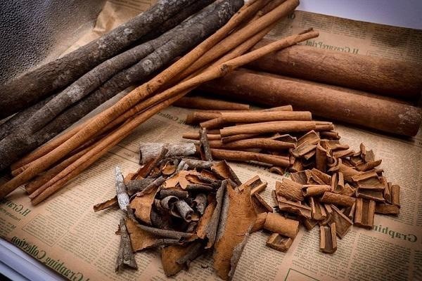 Triển vọng từ những cánh rừng quế hữu cơ ở Quảng Tân