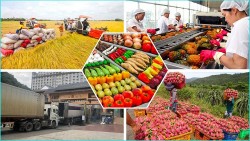 Mở rộng thị trường và gia tăng sức cạnh tranh cho xuất khẩu nông sản