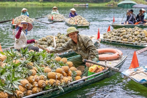 Thưởng thức niềm vui mùa vàng của nông dân Tràng An