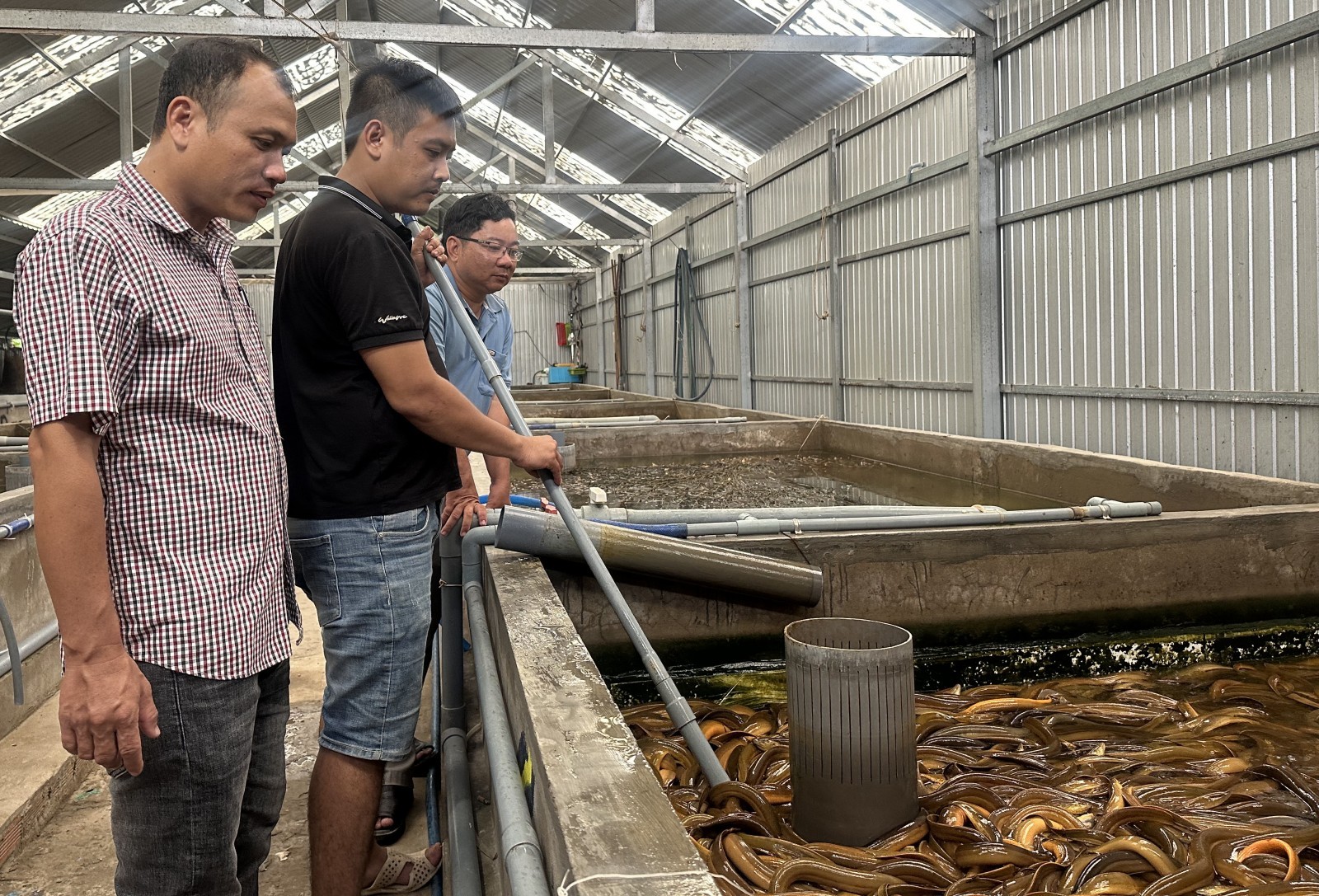 Hướng đi mới của 