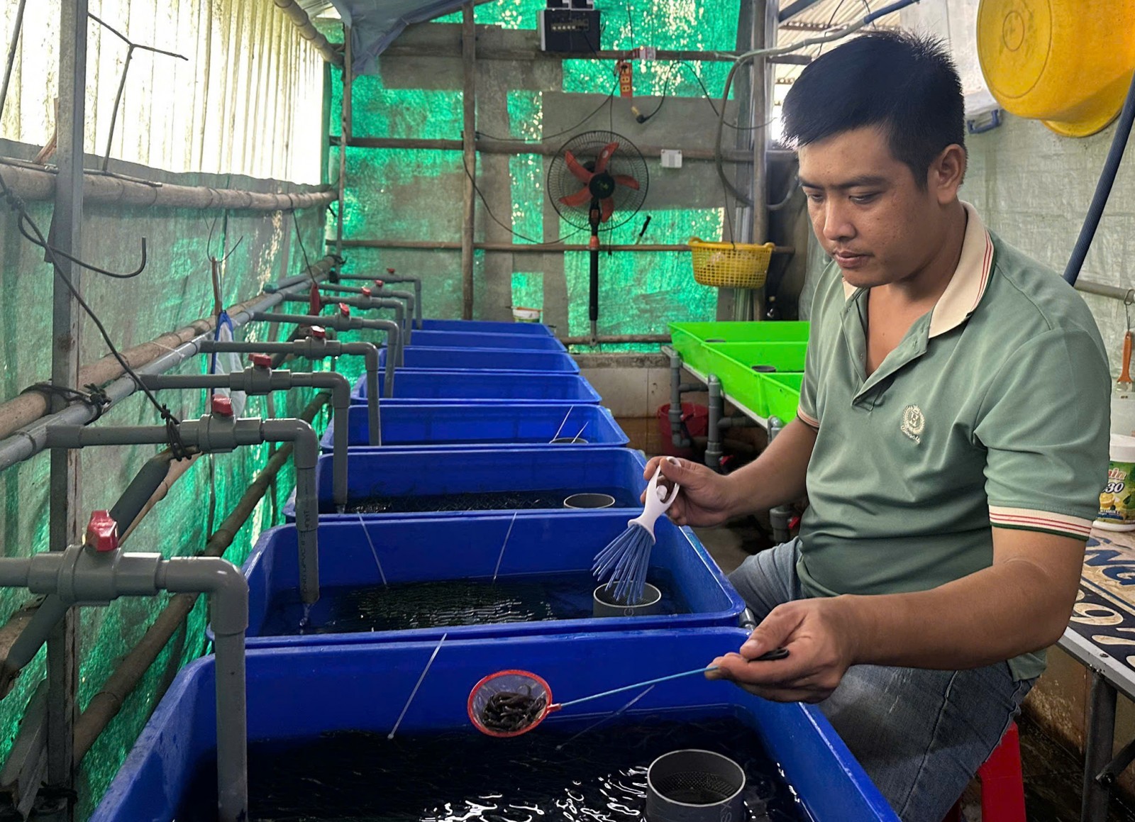 Hướng đi mới của "kỹ sư lươn"