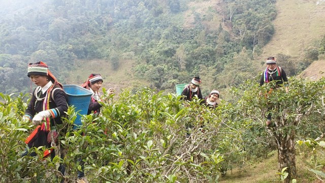 Người phụ nữ Khmer nâng tầm nghề đan đát truyền thống ở Sóc Trăng Người phụ nữ Khmer nâng tầm nghề đan đát truyền thống ở Sóc Trăng