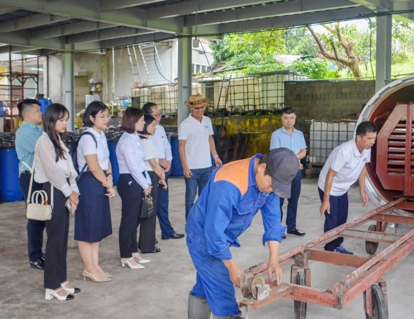 Nghiệm thu đề án hỗ trợ ứng dụng máy móc, thiết bị tiên tiến vào chế biến hoa quả tại phường Vân Sơn
