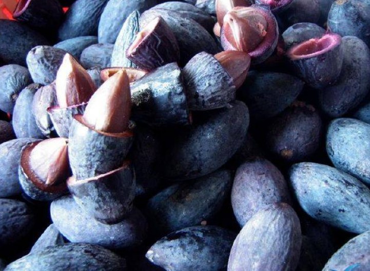 Những thức quả đặc trưng của mùa thu Cao Bằng Những thức quả đặc trưng của mùa thu Cao Bằng