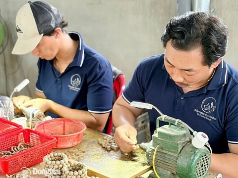 Sắp diễn ra Hội chợ triển lãm sản phẩm công nghiệp nông thôn tiêu biểu vùng Đông Nam Bộ - Đồng Nai năm 2025