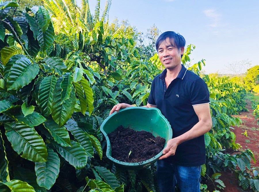 Nông dân Gia Lai biến rác thải thành phân bón hữu cơ Nông dân Gia Lai biến rác thải thành phân bón hữu cơ