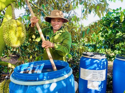 Nông dân Gia Lai biến rác thải thành phân bón hữu cơ