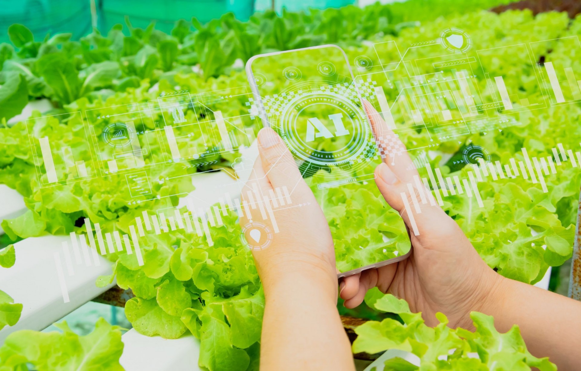 Bộ Công Thương xây dựng Thông tư về truy xuất nguồn gốc hàng hóa