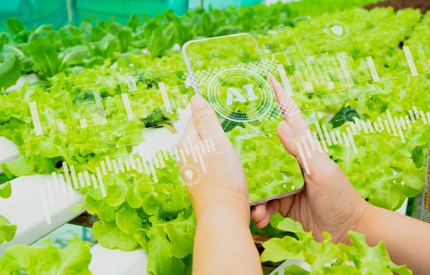 Bộ Công Thương xây dựng Thông tư về truy xuất nguồn gốc hàng hóa