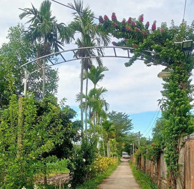 Nam Định tiên phong xây dựng thôn nông thôn mới kiểu mẫu và thôn thông minh