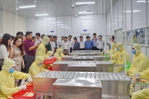 ca mau thuc day che bien sau va cong nghiep xanh