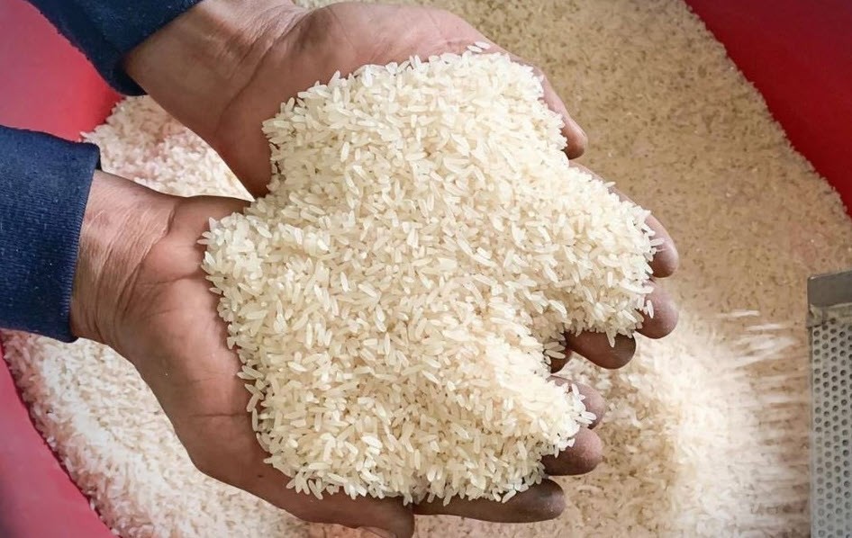 Gạo đặc sản Cần Đước khẳng định thương hiệu với chứng nhận OCOP Gạo đặc sản Cần Đước khẳng định thương hiệu với chứng nhận OCOP