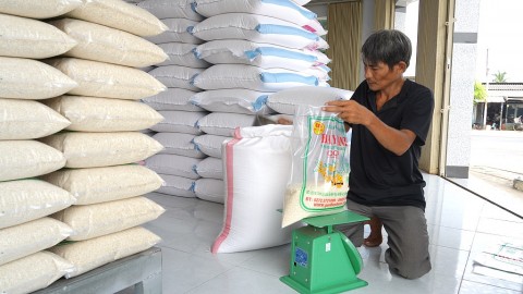 gao dac san can duoc khang dinh thuong hieu voi chung nhan ocop