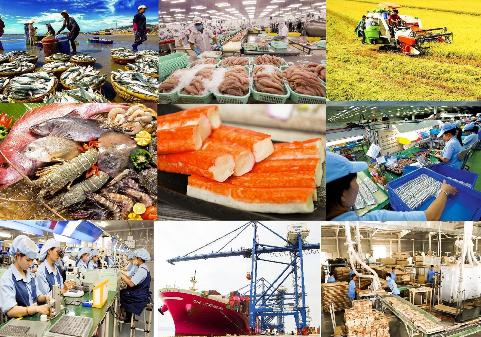 Hà Nội thúc đẩy sản xuất và tiêu dùng bền vững gắn với phát triển kinh tế xanh Hà Nội thúc đẩy sản xuất và tiêu dùng bền vững gắn với phát triển kinh tế xanh