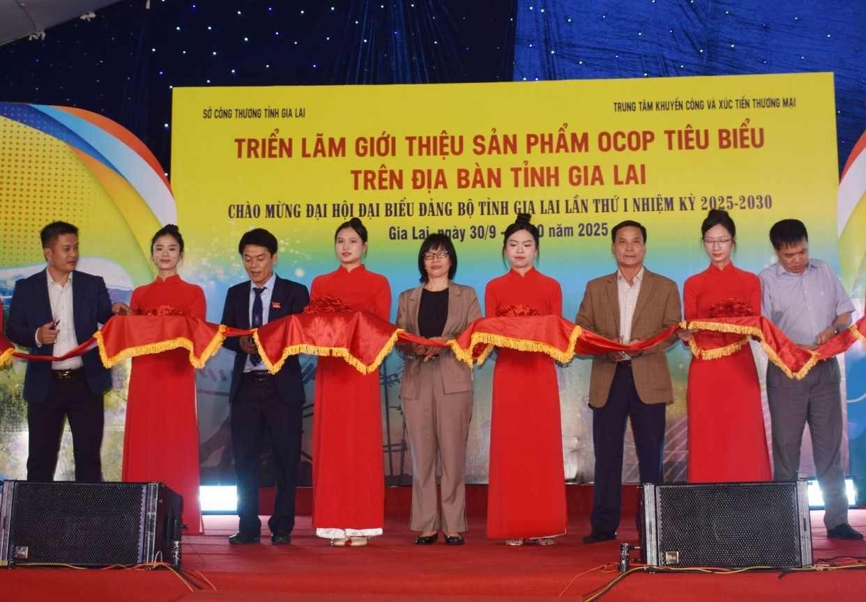 Triển lãm sản phẩm OCOP tạo điểm nhấn chào mừng Đại hội Đảng bộ tỉnh Gia Lai lần thứ I Triển lãm sản phẩm OCOP tạo điểm nhấn chào mừng Đại hội Đảng bộ tỉnh Gia Lai lần thứ I
