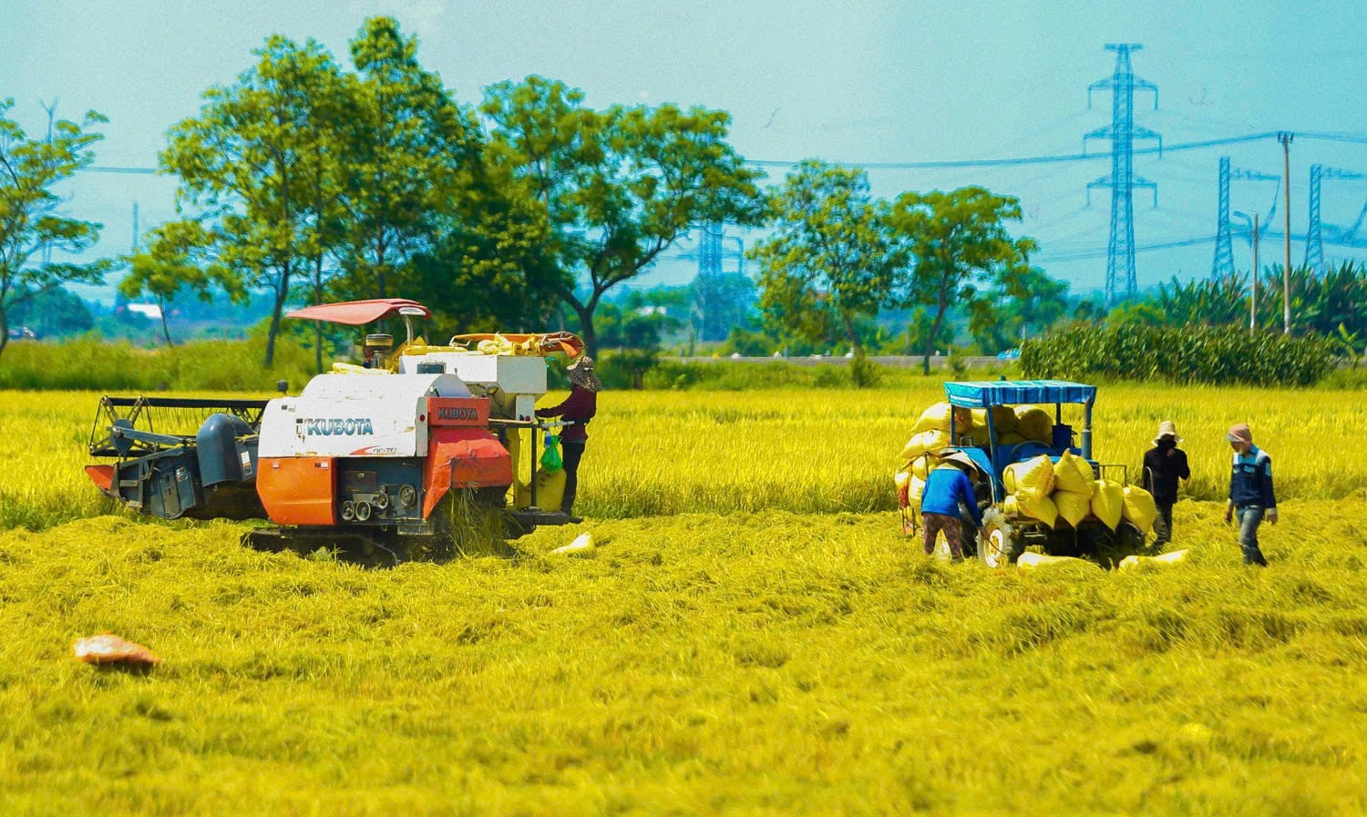 Chung sức xây dựng nông thôn mới: Giữ hồn quê, nâng chất sống